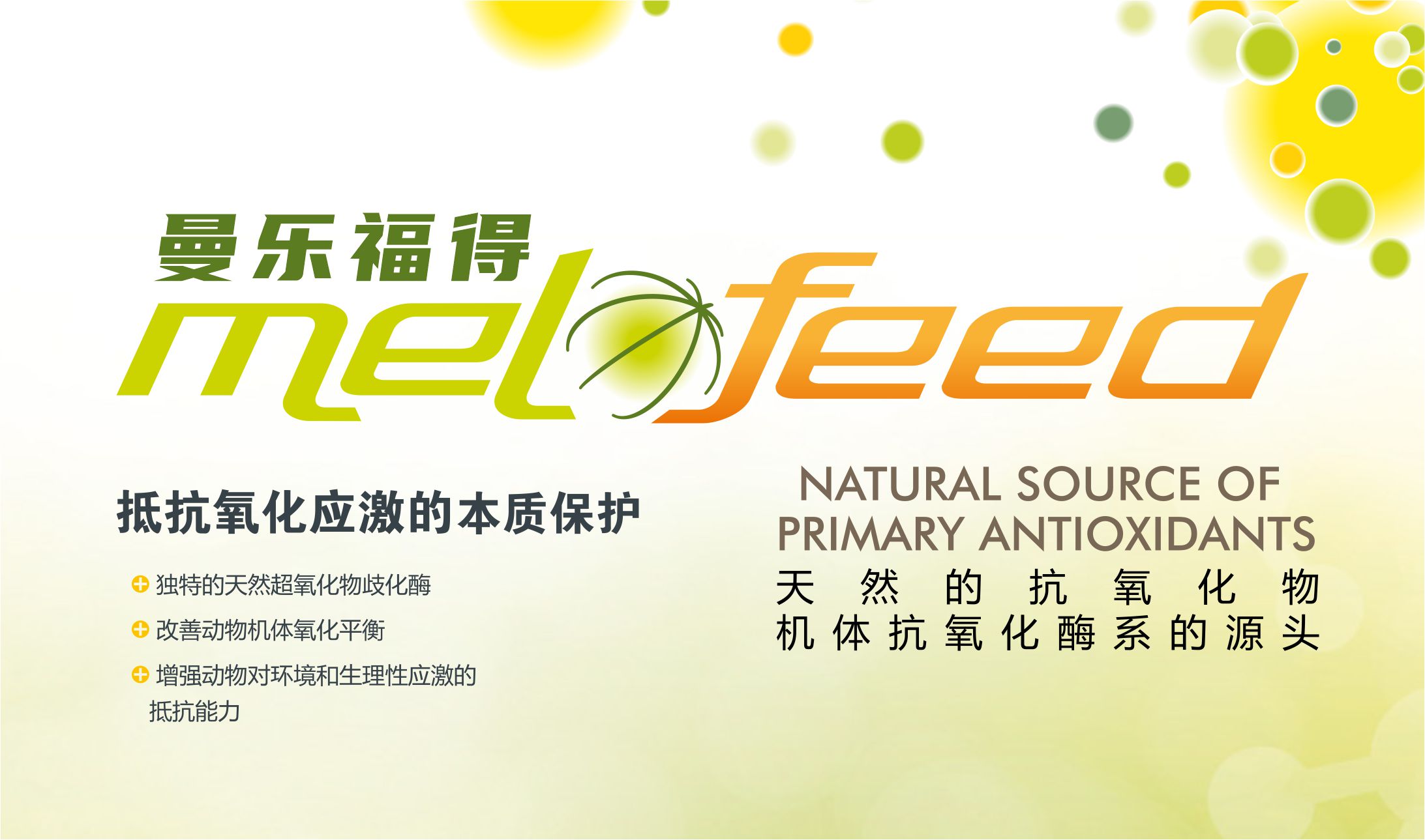曼樂福得(Melofeed?)——天然抗氧化劑