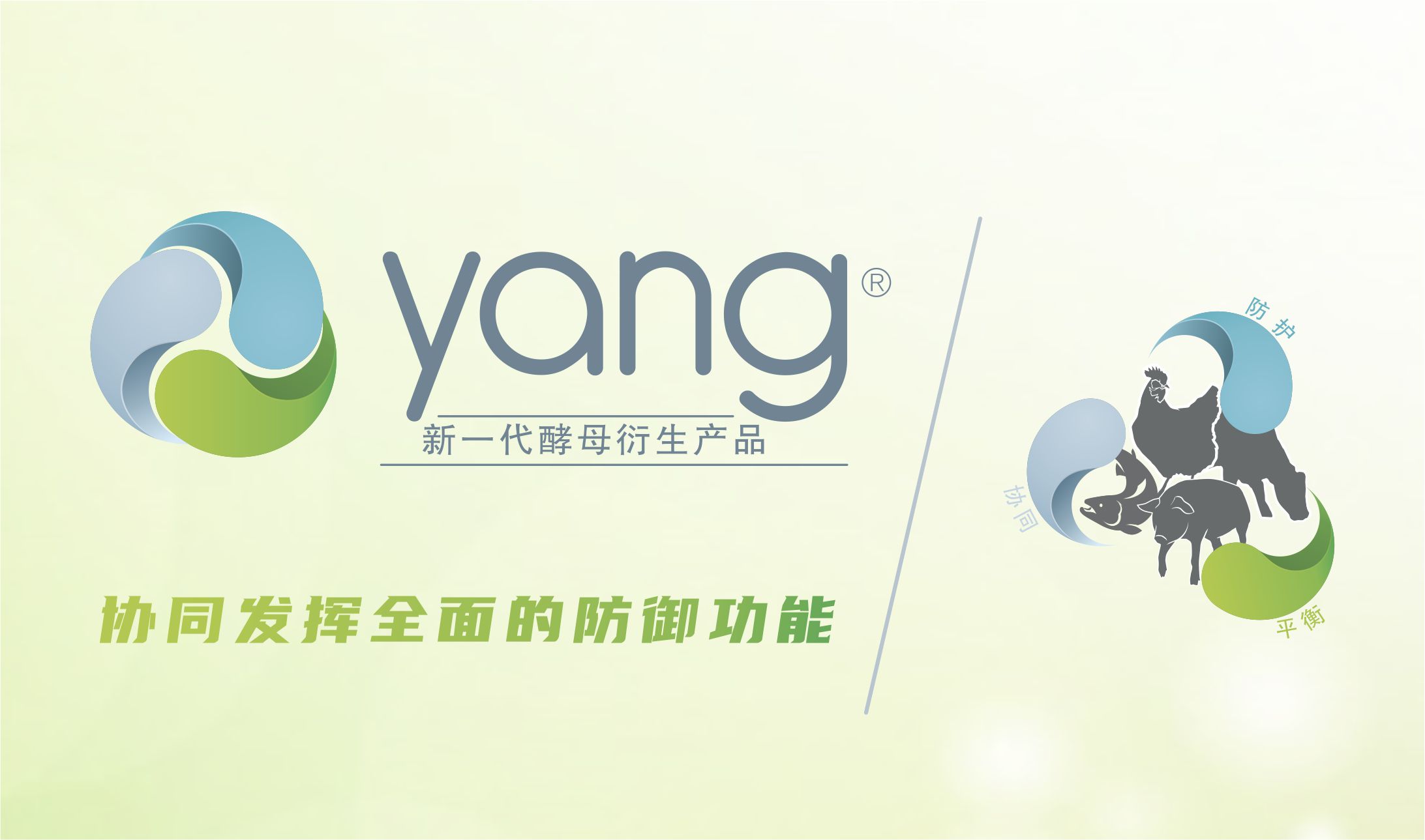 拉曼Yang?——新一代酵母衍生物